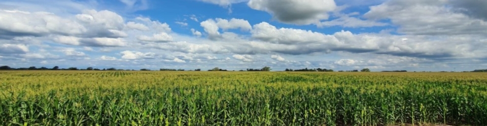 KIMEN.Farm